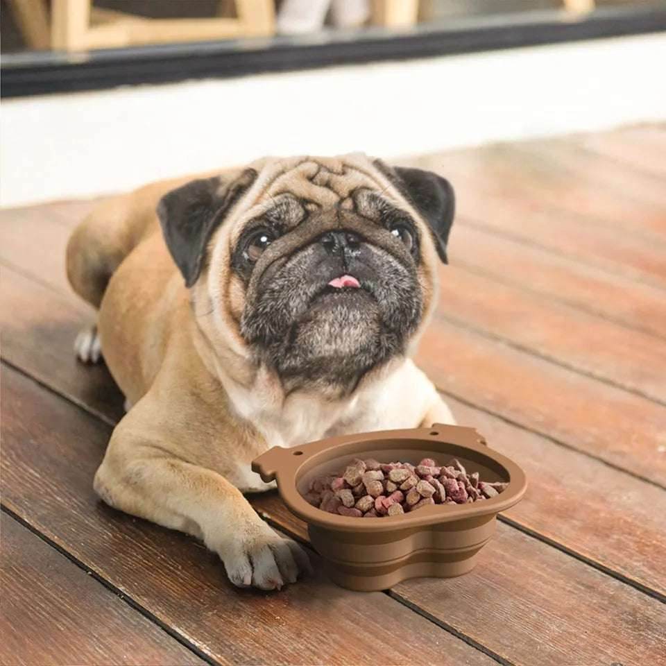 Plato taza plegable con clip para mascotas - INOTEK s.a.s