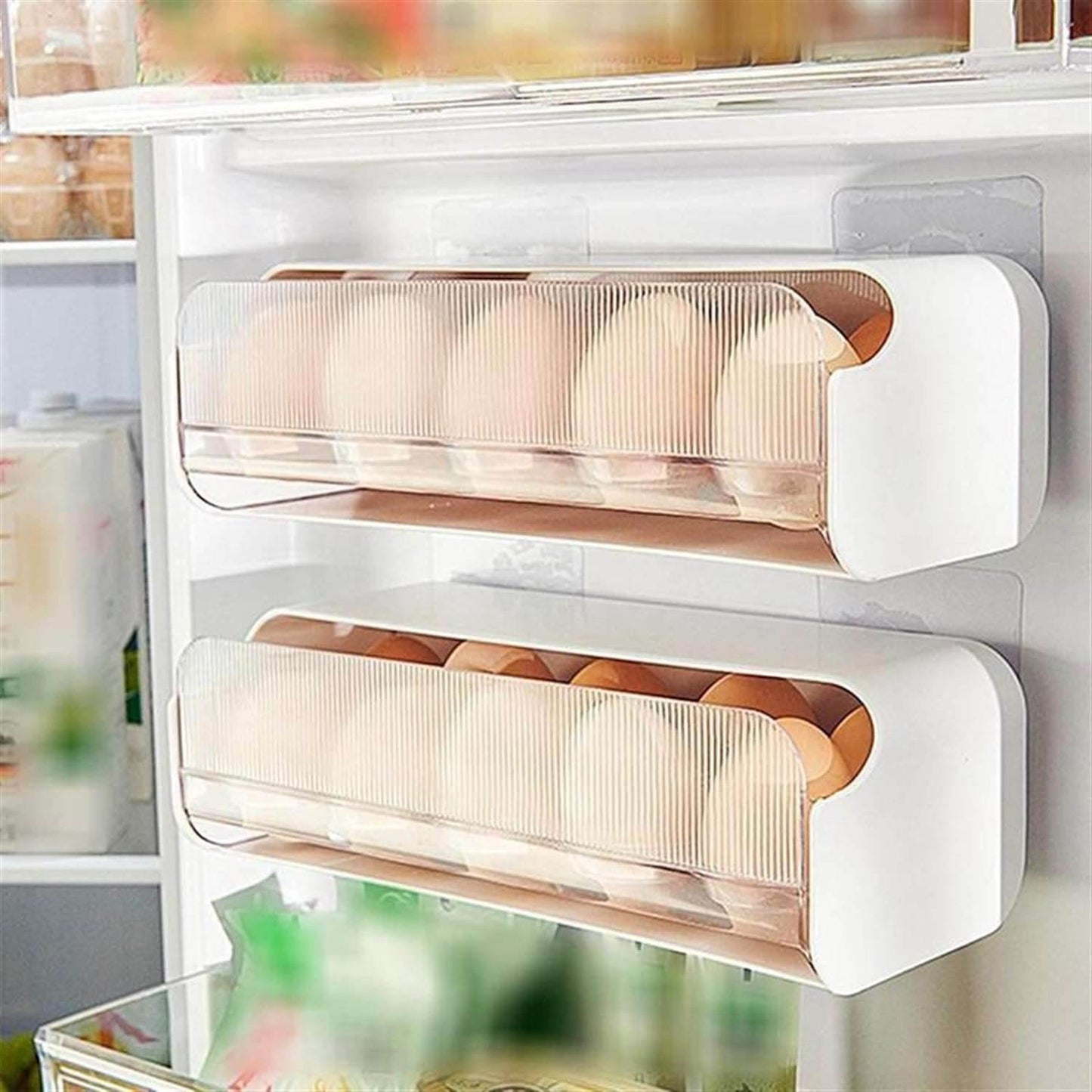 Organizador de huevos X10 - INOTEK s.a.s