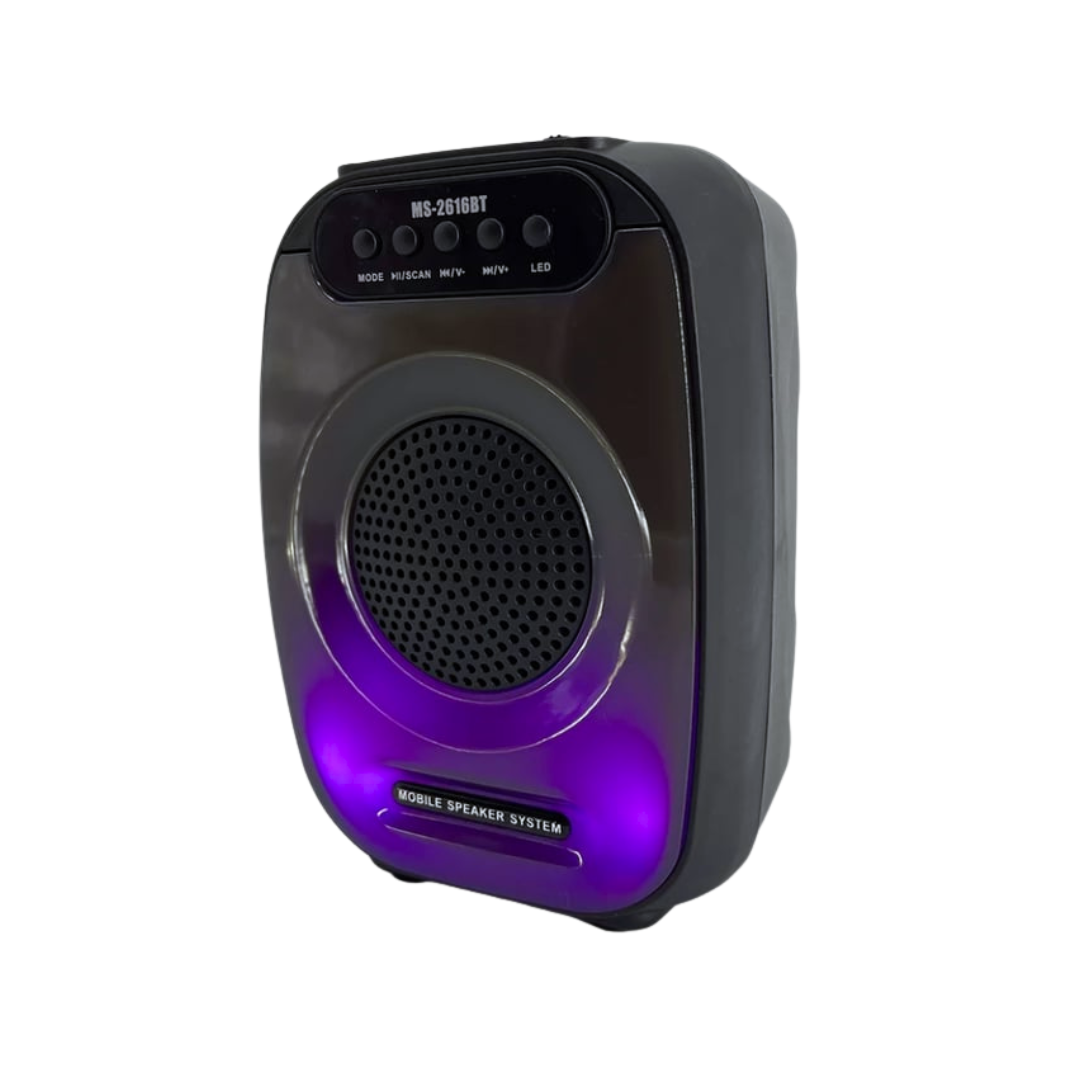 Parlante Portátil Bluetooth MS-2616BT | Sonido Potente, Graves Profundos y Luces LED