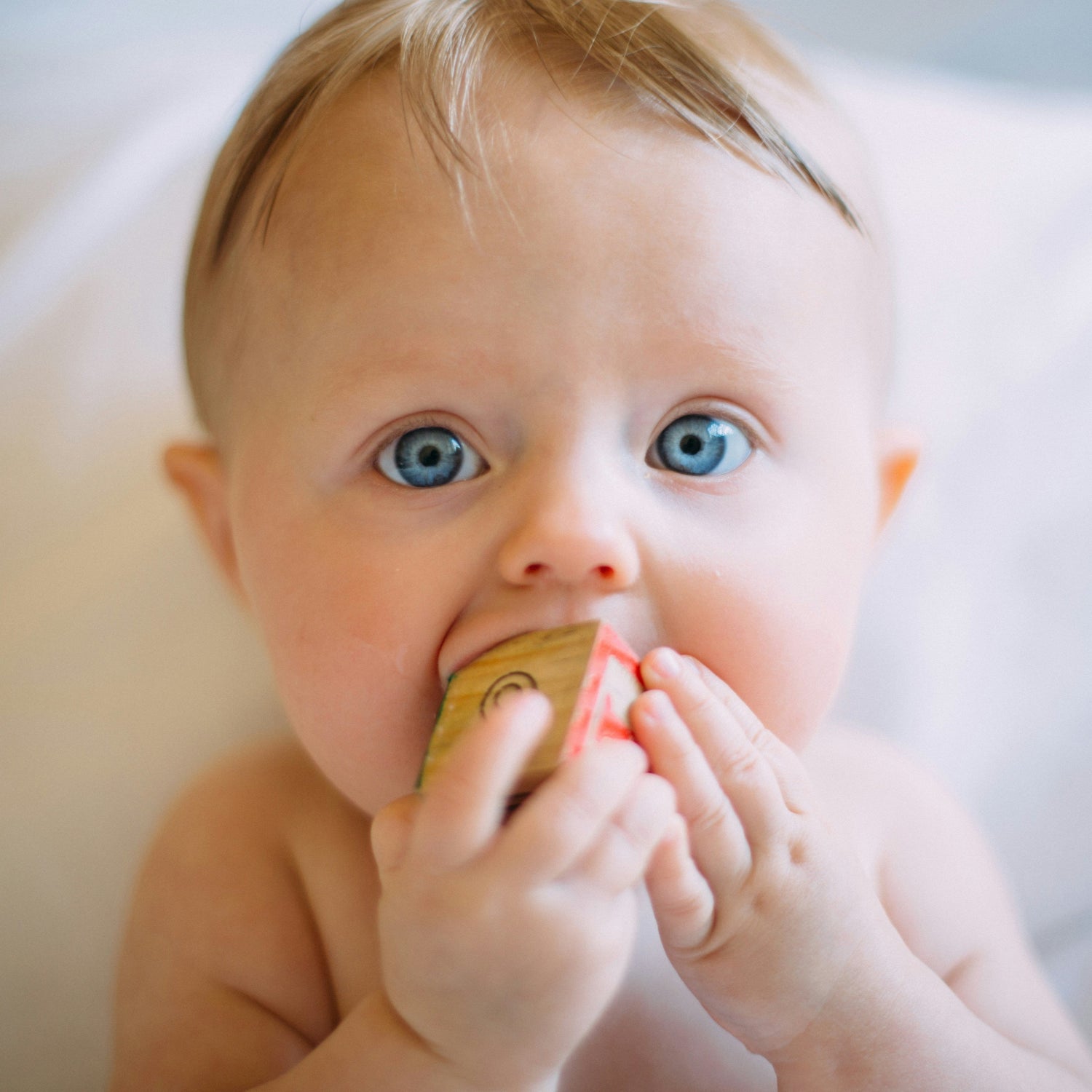 Bebés