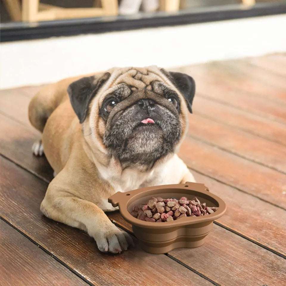 Plato taza plegable con clip para mascotas