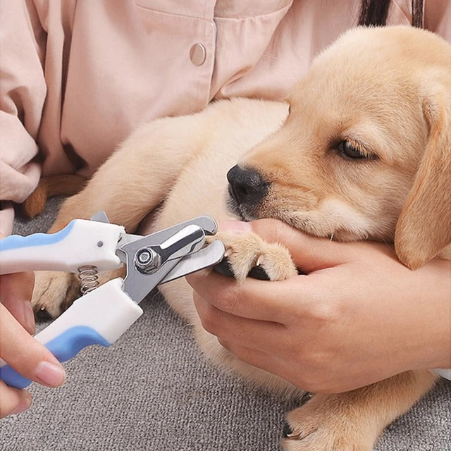 Corta uñas para mascotas