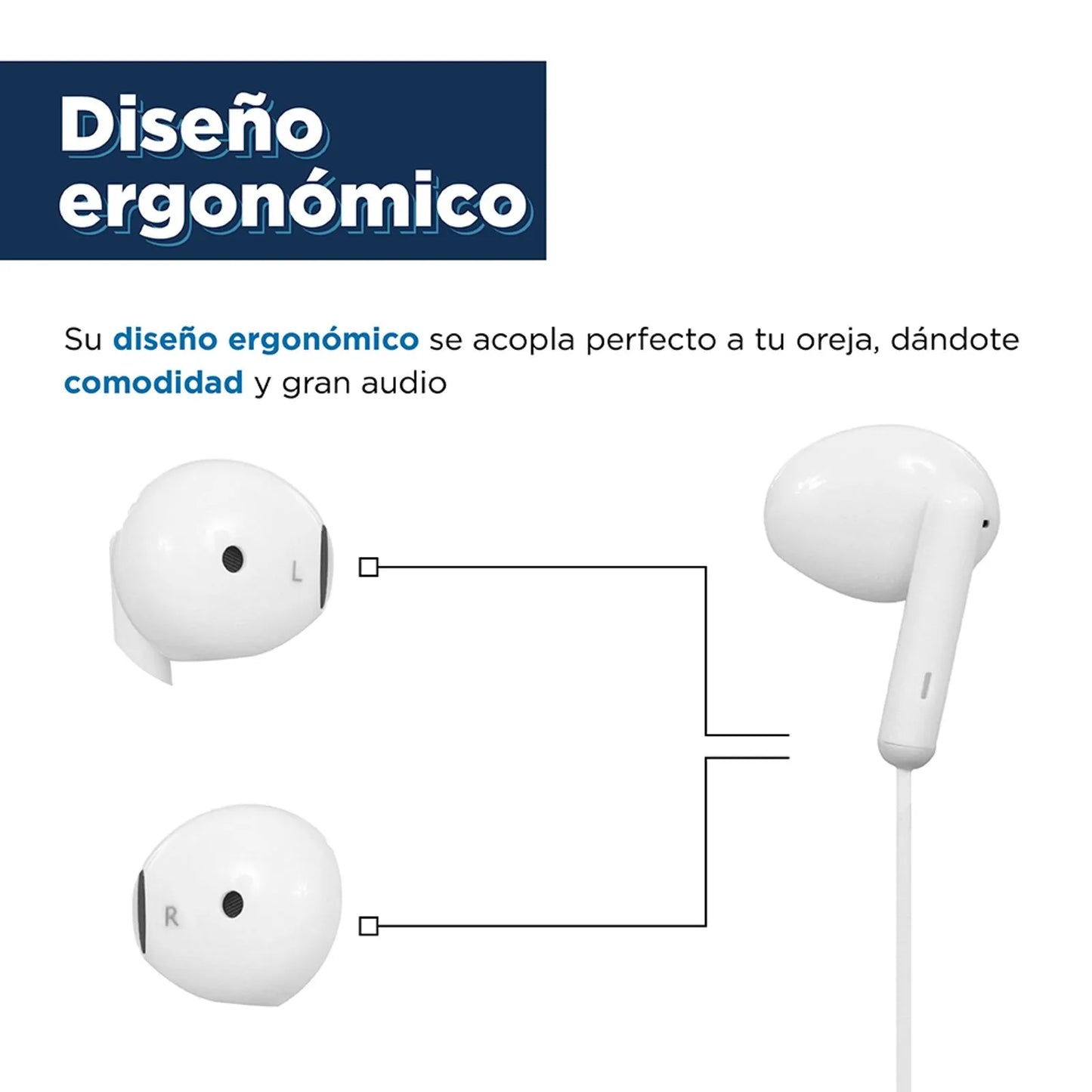 🎧AUDIFONOS AURICULARES TIPO C TRANYOO con Sonido de Alta Fidelidad – Tu Música, Claridad Total 🔊