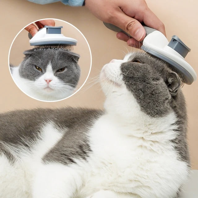 Cepillo para perros y gatos