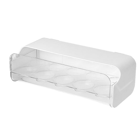 Organizador de huevos X10
