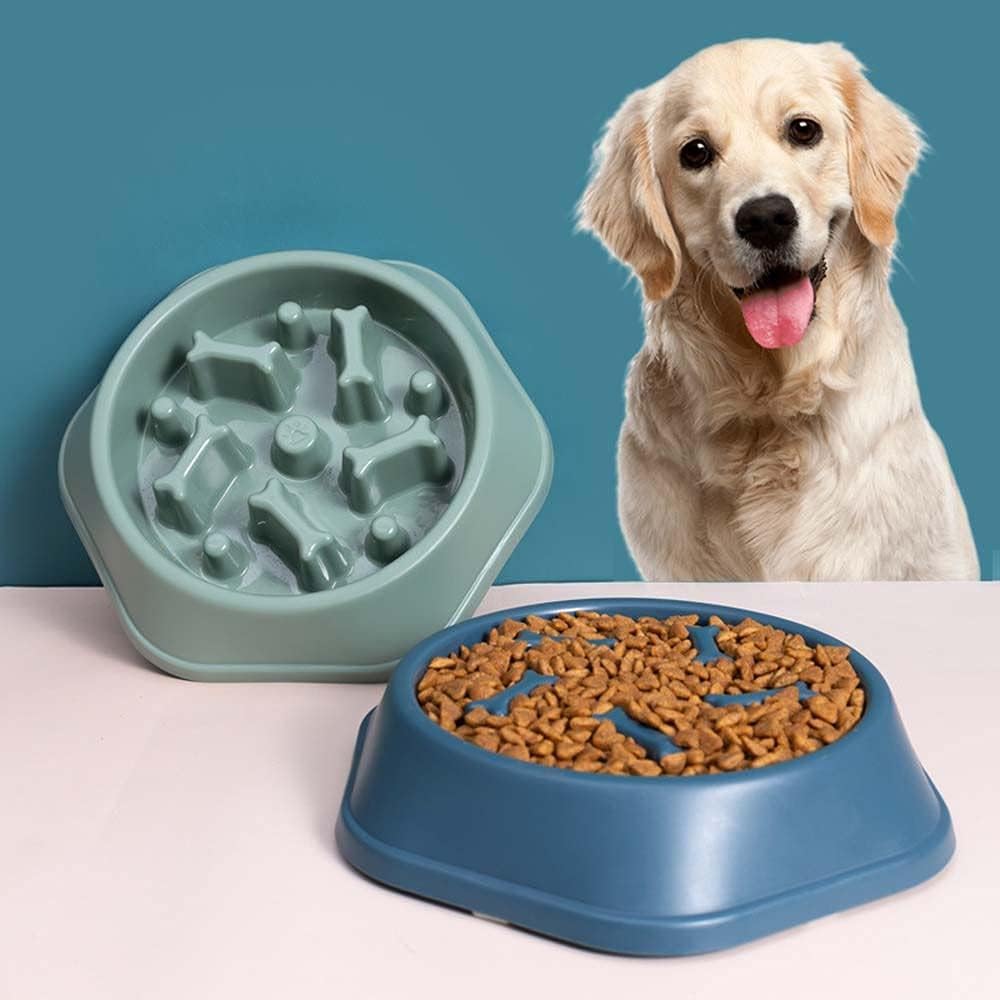 Plato de comida para perros anti-reflujo