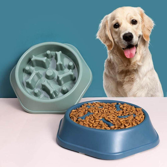 Plato de comida para perros anti-reflujo - INOTEK s.a.s