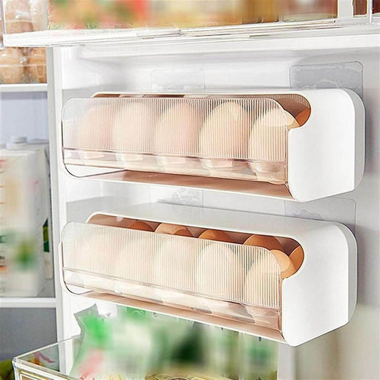 Organizador de huevos X10 - INOTEK s.a.s