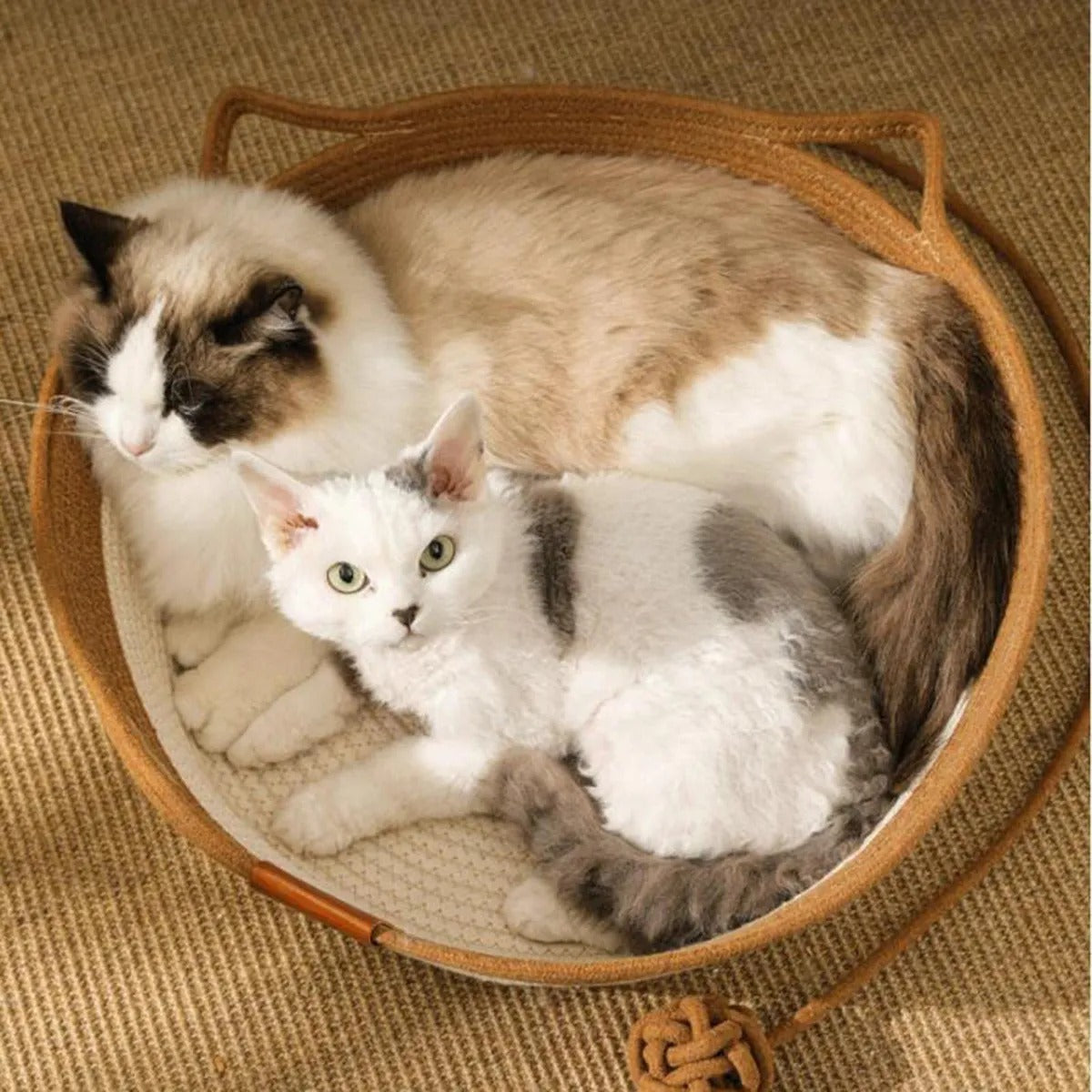 Cama para Gatos Mediana (M) – Cama Tejida, Suave y Espaciosa Tipo Rascador Decorativo