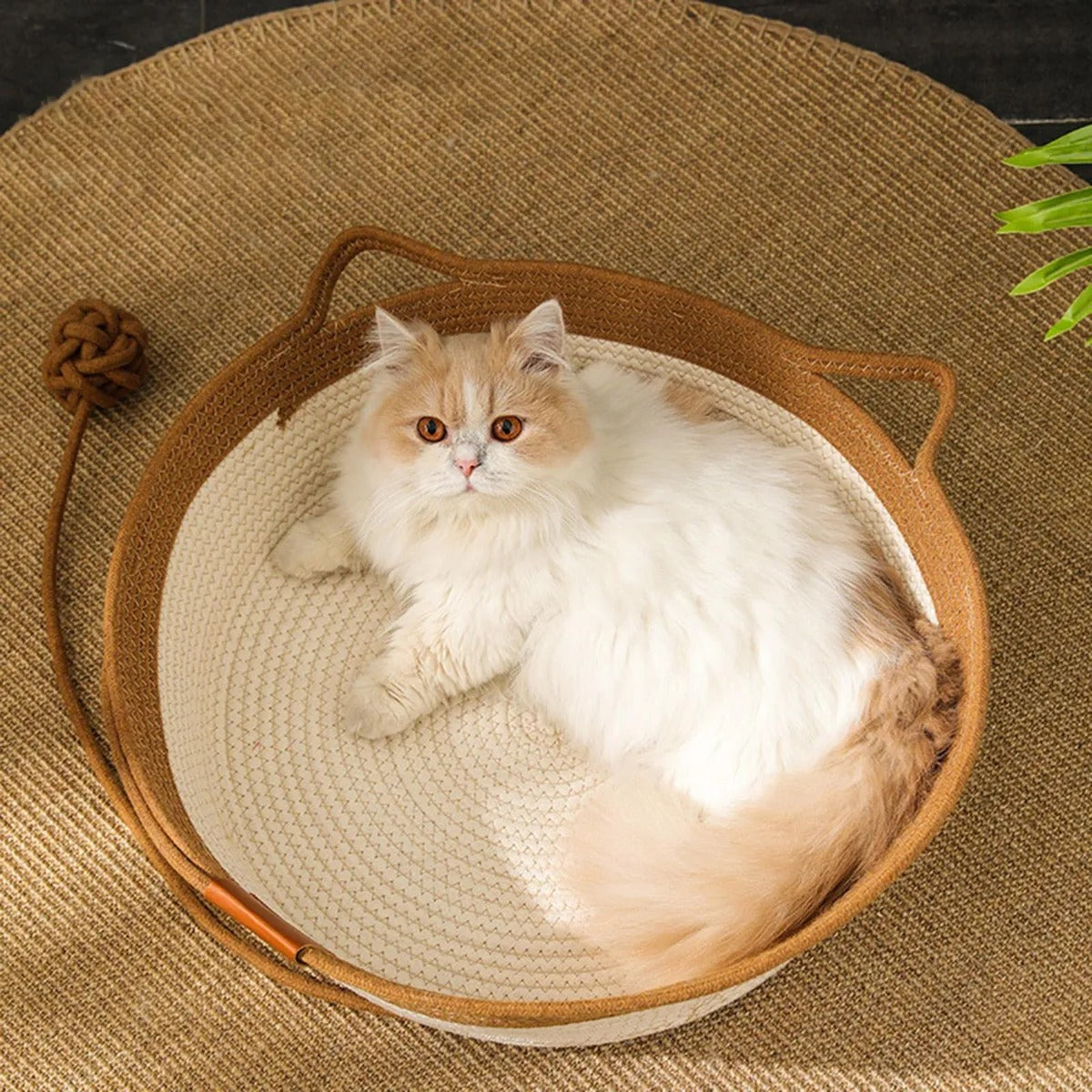 Cama para Gatos Mediana (M) – Cama Tejida, Suave y Espaciosa Tipo Rascador Decorativo