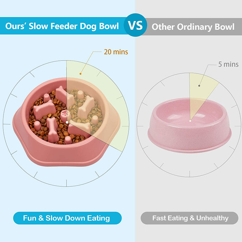 Plato de comida para perros anti-reflujo