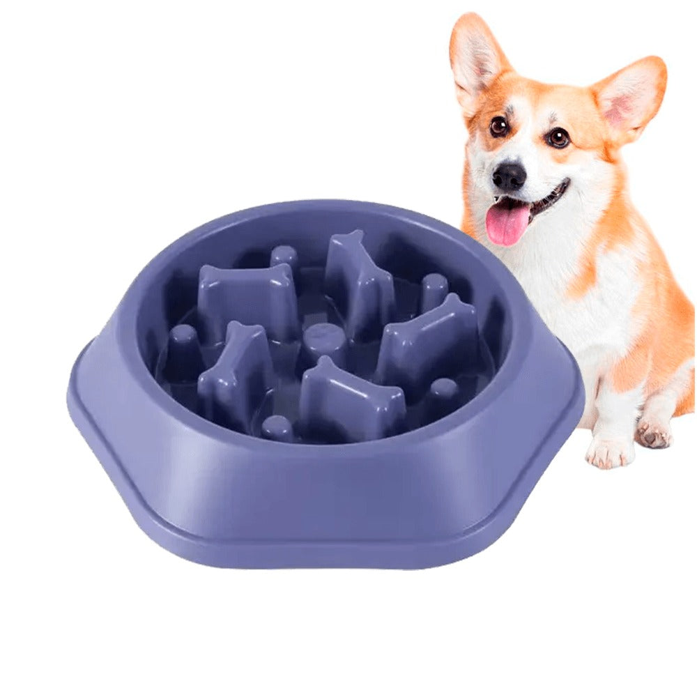 Plato de comida para perros anti-reflujo